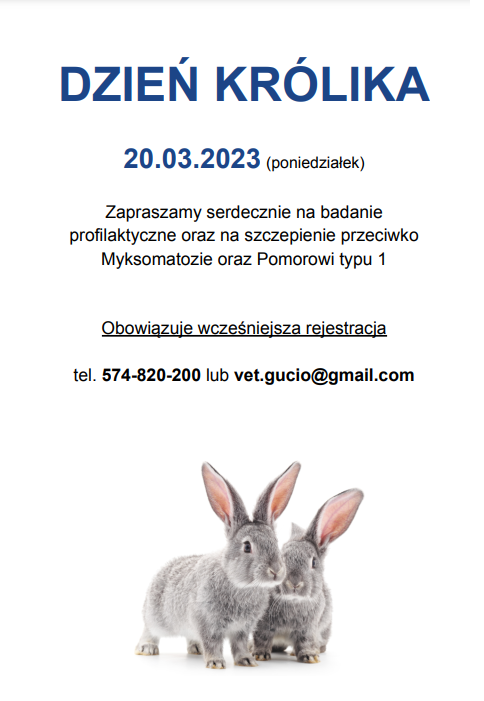 dzień królika - badania profilaktyczne - informacja